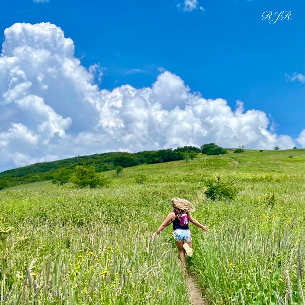 Eyes to See&nbsp;Grass